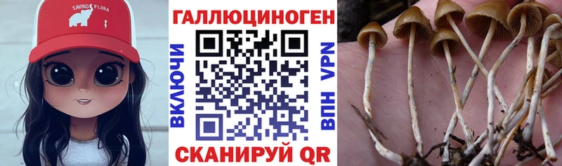 Купить закладки  Шарья  Псилоцибиновые грибы Magic Shrooms 