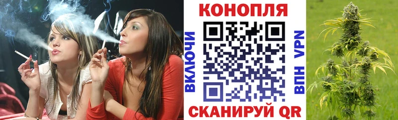 Шишки марихуана семена  Купить  Шарья 